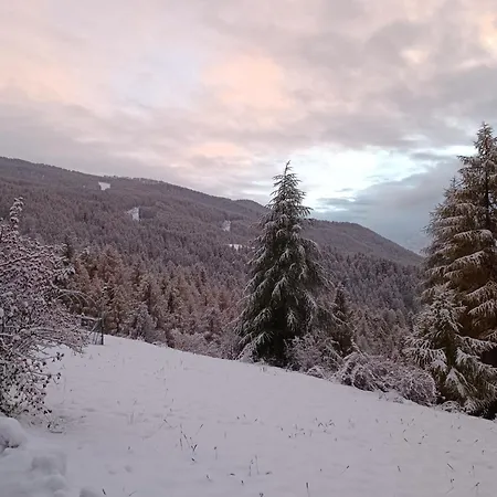 Apartment Casa Richardette Relax In The Woods