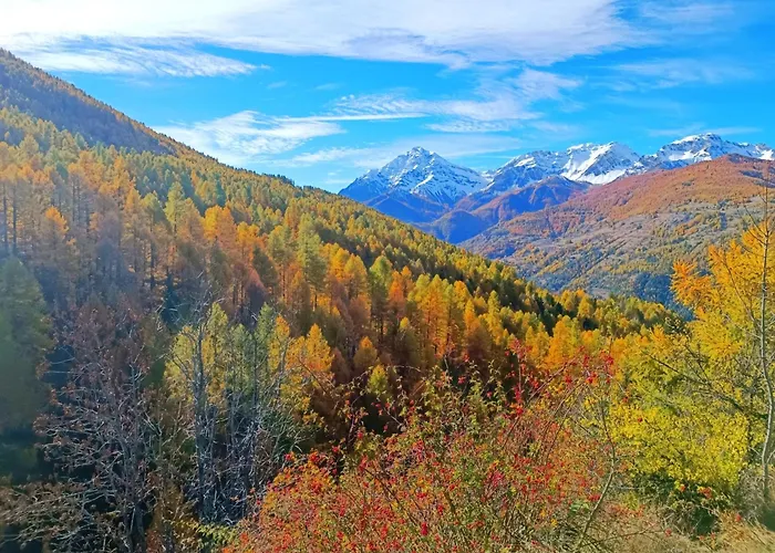 Casa Richardette Relax In The Woods