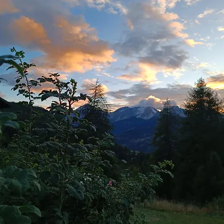 Casa Richardette Relax In The Woods Διαμέρισμα