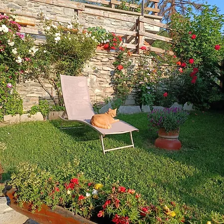 Apartment Casa Richardette *