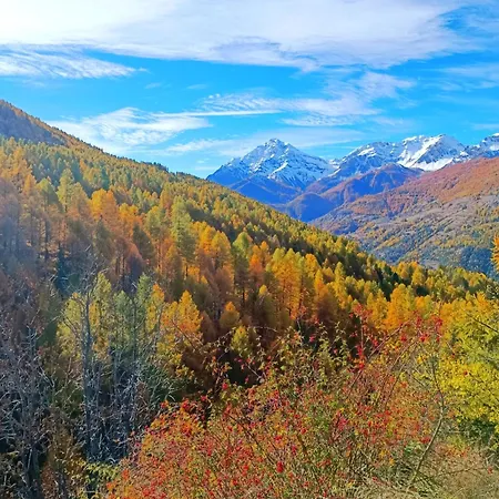 Casa Richardette Relax In The Woods